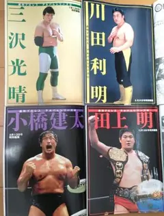 プロレスアルバム●タイガーマスクほか●６冊セット 2025年最新】タイガーマスク プロレスアルバムの人気アイテム