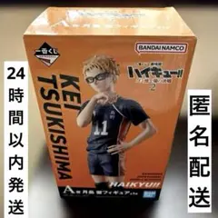 ハイキュー!! 一番くじ ゴミ捨て場の決戦2 月島蛍 フィギュア A賞 送料無料