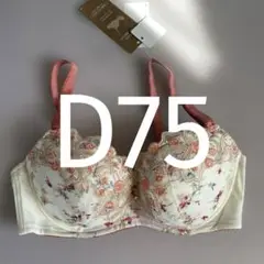 Item thumbnail for item 4f3e6174-eb5d-4d7a-9cf7-a98d2f2d6f62