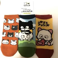 タマ＆フレンズ　ソックス3足セット　うちのタマ知りませんか？　8月限定セール