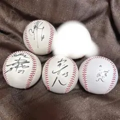 サインボール