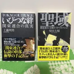 いびつな絆　聖域　関東連合の金脈とVIPコネクション