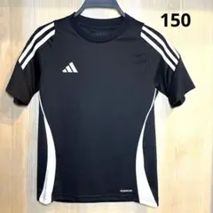 Item thumbnail for item 8f1660f8-749d-4619-b81a-a181111e19bb