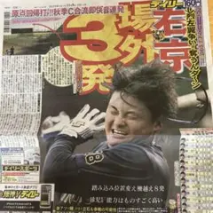 Item thumbnail for item 19bd5fa0-f907-462e-a7b3-88101b8db053