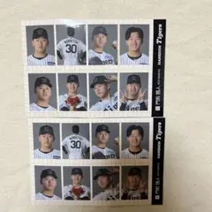 阪神タイガース　門別啓人　証明写真風ステッカー 2025