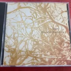 Ryuichi Kawamura Love