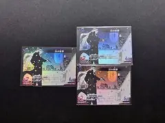名探偵コナンカード　交錯する刃　白の世界　CP