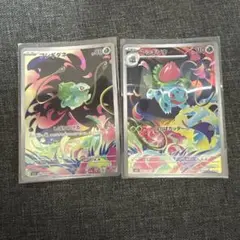フシギダネ　フシギソウ　ar セット売り