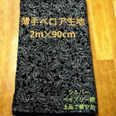薄手ベロア生地 2m✕90cm ペイズリー柄 裏面にシルバーのキラキラ有り