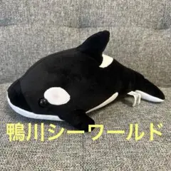 鴨シー　ぬいぐるみくじ　シャチ　seaロト
