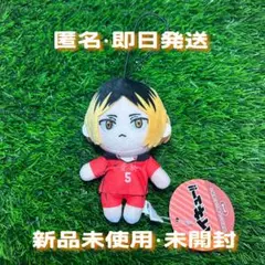 早い者勝ち⚠️孤爪研磨 モーリーファンタジー ぬいぐるみ マスコットぬい