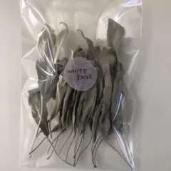 ホワイトセージ