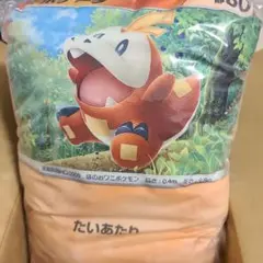 ポケモンカードクッション BOSSポケモンクッション　ホゲータ