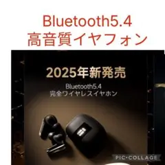 Item thumbnail for item 31f71e43-a3b5-44f2-8867-3525bb12f10c