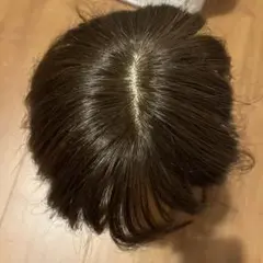 ブライトララ　トップピース　ヘアピース　人毛100% 20cm ダークブラウン