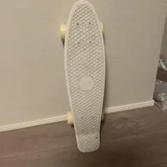 penny ホワイト 室内鑑賞のみ