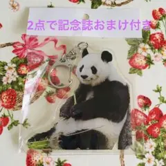 王子動物園パンダのタンタン・コウコウ来神記念　阪急鉄道車両型缶 (未開封) 直送商品 王子動物園パンダのタンタン・コウコウ来神記念 阪急