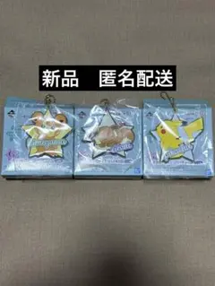 ポケモン★一番くじ★スターデザインラバーチャーム★ピカチュウ　イーブイ　ヒメグマ