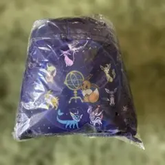 【新品未使用】　ポケットモンスター　プレミアム巾着付ブランケット