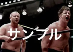 プロレス生写真　ザファンクス② 9枚1組
