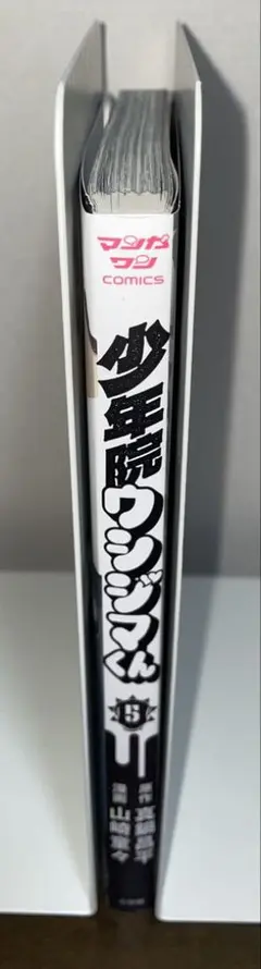 少年院ウシジマくん　5巻