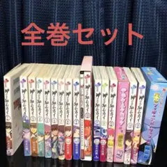 神のみぞ知るセカイ 全巻セット 限定版・小説付き