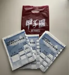 第107回全国高校野球選手権大会新聞　現地限定