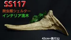 爬虫類シェルター流木、観葉植物