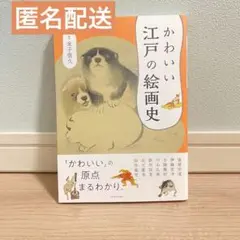 かわいい江戸の絵画史★24時間以内発送&匿名配送★