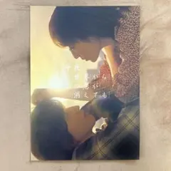 今夜、世界からこの恋が消えても パンフレット