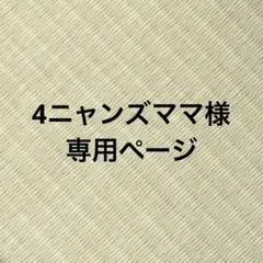 専用ページ