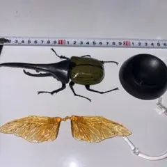 いきもの大図鑑　かぶとむし01 ヘラクレス・ヘラクレス（黄褐色）
