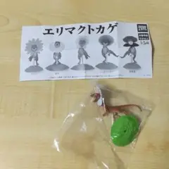 ロリータ エリマクトカゲ フィギュア カプセルトイ ガチャ
