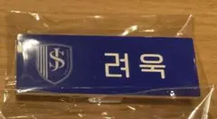 SMTOWN POPUP ランダム バッチ リョウク