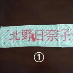 Item thumbnail for item 58f106fb-25d9-45e0-bb37-ada8c035ab31