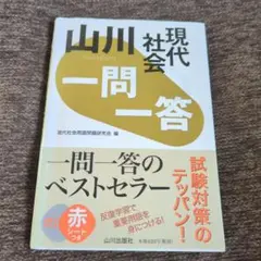 山川 一問一答 現代社会