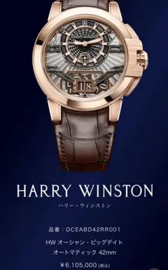 2025年最新】Harry Winston ラバーベルトの人気アイテム - メルカリ
