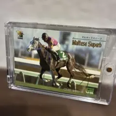 マルターズスパーブ トレーディングカード
