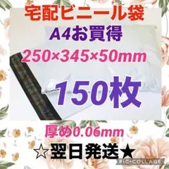 Item thumbnail for item 1c88d350-39cd-4667-b84e-eeea90a6d096