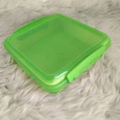 Item thumbnail for item e215055b-e4ea-40b5-9e44-03f4cce4944b