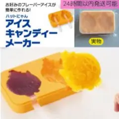 イエローハット　アイスキャンディーメーカー 2本用 オレンジ