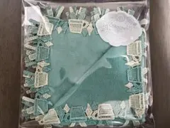近沢レース　タオルハンカチ　エチケット　ミントグリーン