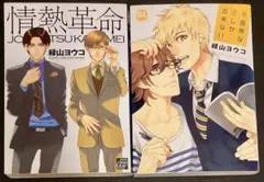 緑山ヨウコ2冊セット