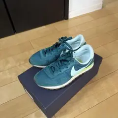 NIKE 25センチ スニーカー