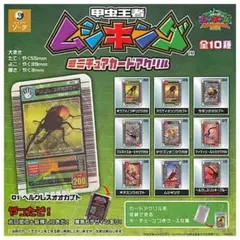 2025年最新】アクティオンゾウカブト アダーコレクションの人気
