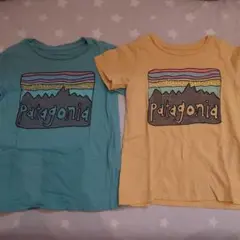 【美品】Patagonia Tシャツ 青と黄色 2枚セット　双子