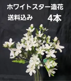 Item thumbnail for item f868a703-8a31-4b34-a369-6b6406cd8295