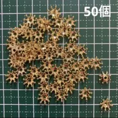 基礎パーツ　ビーズキャップ　花弁　花芯　8ミリ ゴールドカラー　50個