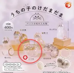【正規品】うちの子のけだまだま　ノーマル猫　匿名配送