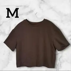 【M】半袖Tシャツ　ブラウン　茶　夏